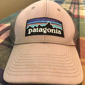 Patagonia Cap